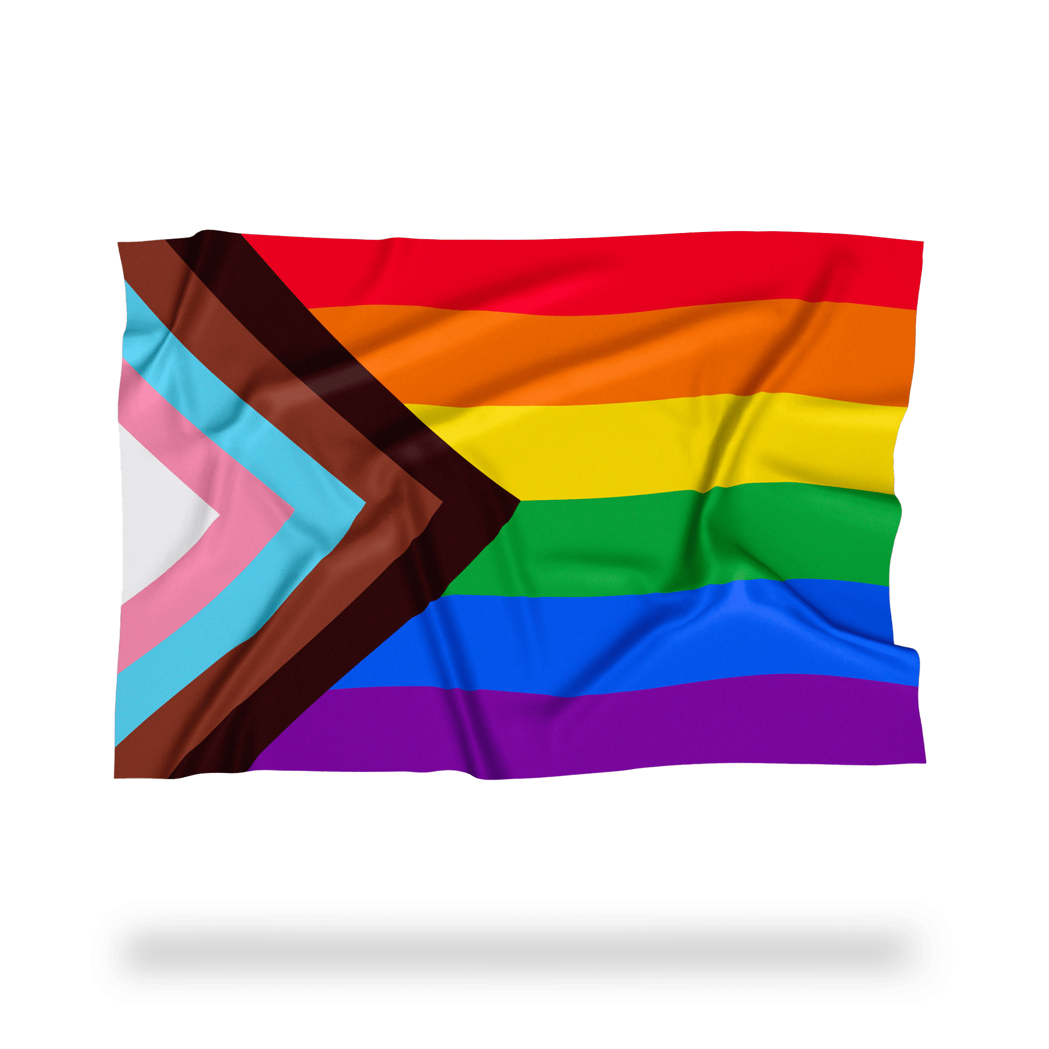 Progress Pride Flag Daniel Quasar