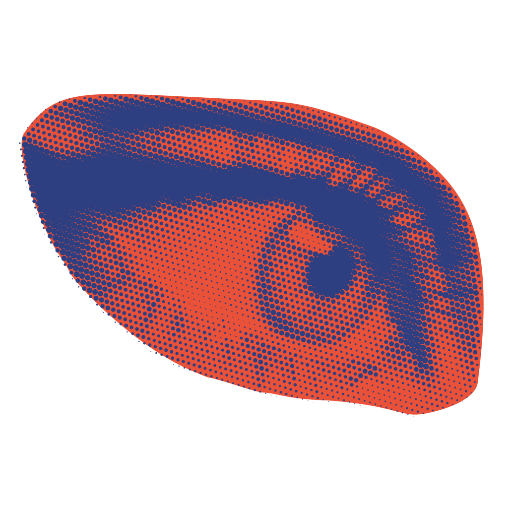 an eye